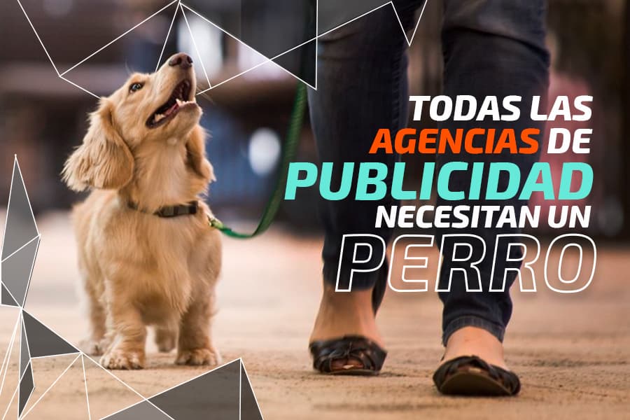 Todas las agencias de publicidad necesitan un perro